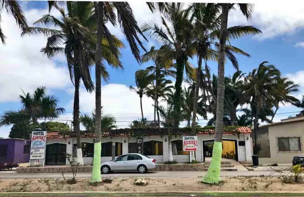 Thumbnail 9 Thumbnail 9