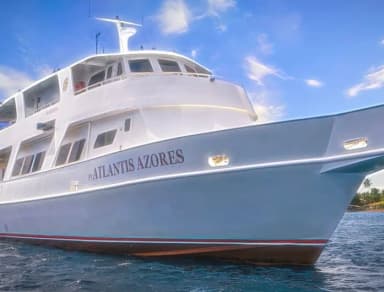 Atlantis Adventurer Atlantis Adventurer