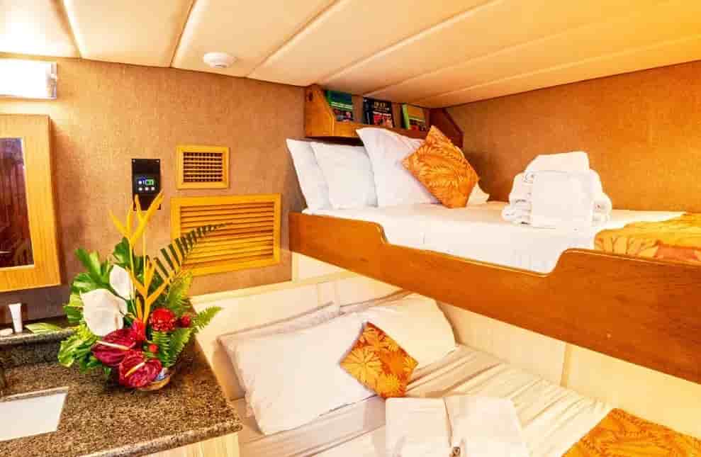 Thumbnail 5 Thumbnail 5