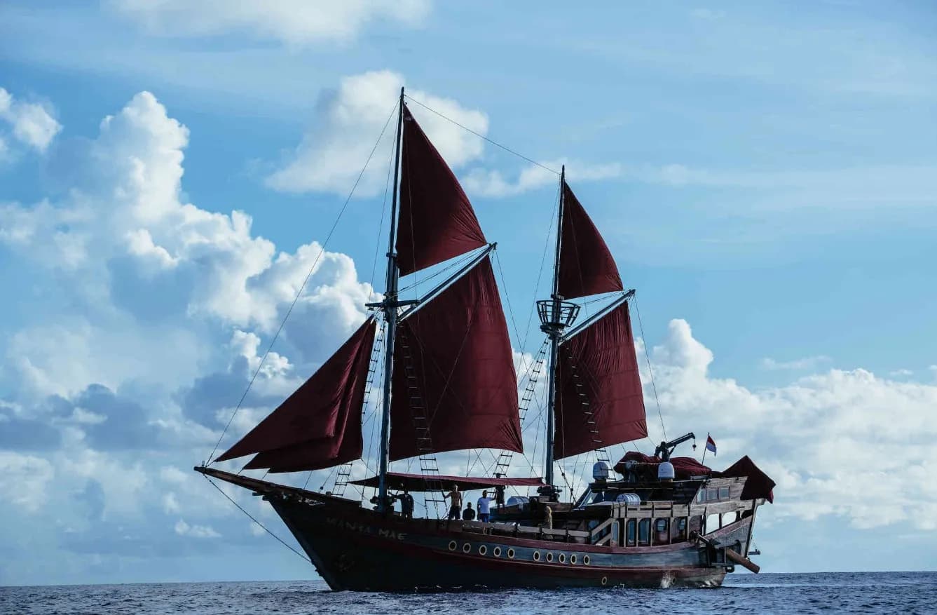 Manta Mae - image Manta Mae - image