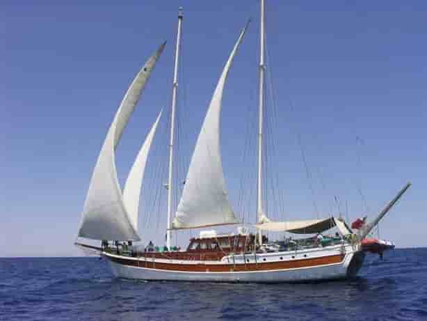 Thumbnail 1 Thumbnail 1