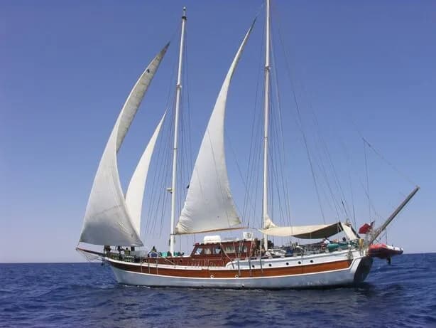 Elegante - image Elegante - image