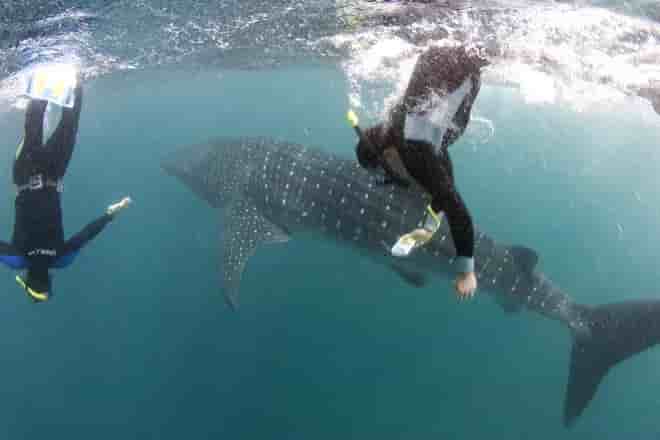 Thumbnail 2 Thumbnail 2