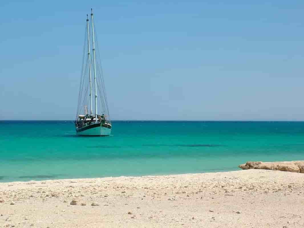 Thumbnail 4 Thumbnail 4