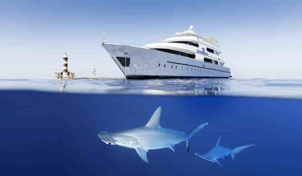 Thumbnail 10 Thumbnail 10