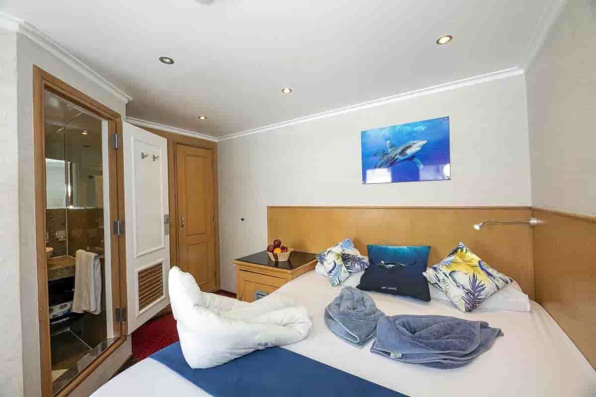 Thumbnail 13 Thumbnail 13