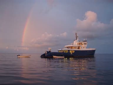 Maya’s Dugong Maya’s Dugong