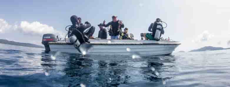 Thumbnail 8 Thumbnail 8