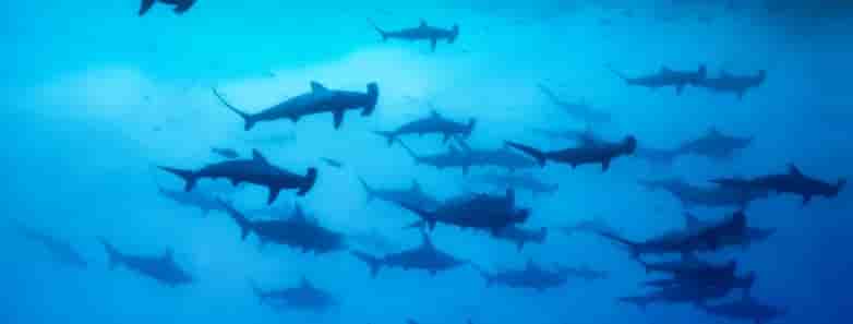 Thumbnail 11 Thumbnail 11