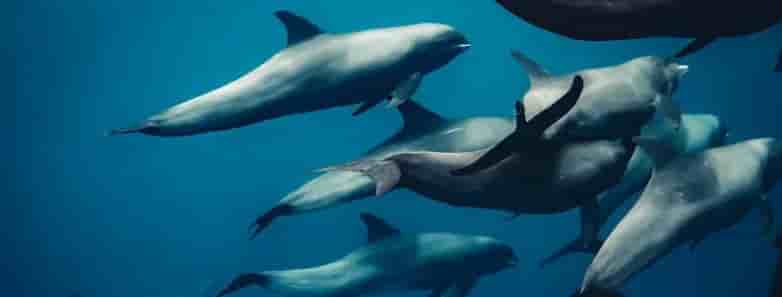 Thumbnail 12 Thumbnail 12