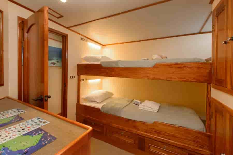 Thumbnail 13 Thumbnail 13