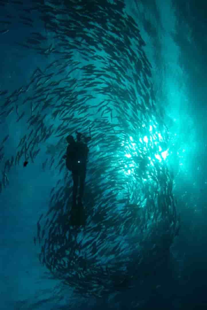 Thumbnail 29 Thumbnail 29