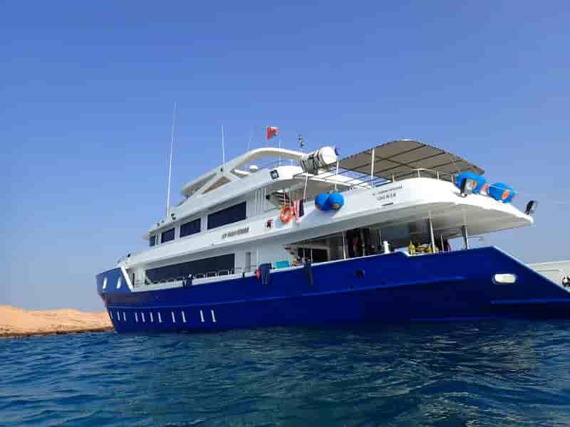 Thumbnail 4 Thumbnail 4