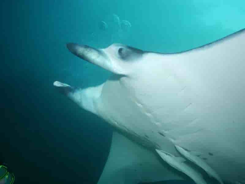 Thumbnail 12 Thumbnail 12