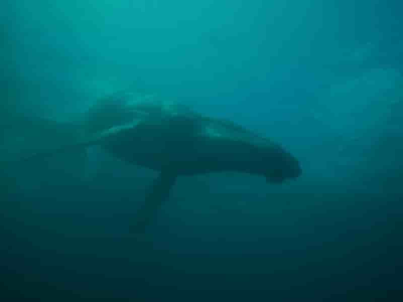 Thumbnail 13 Thumbnail 13