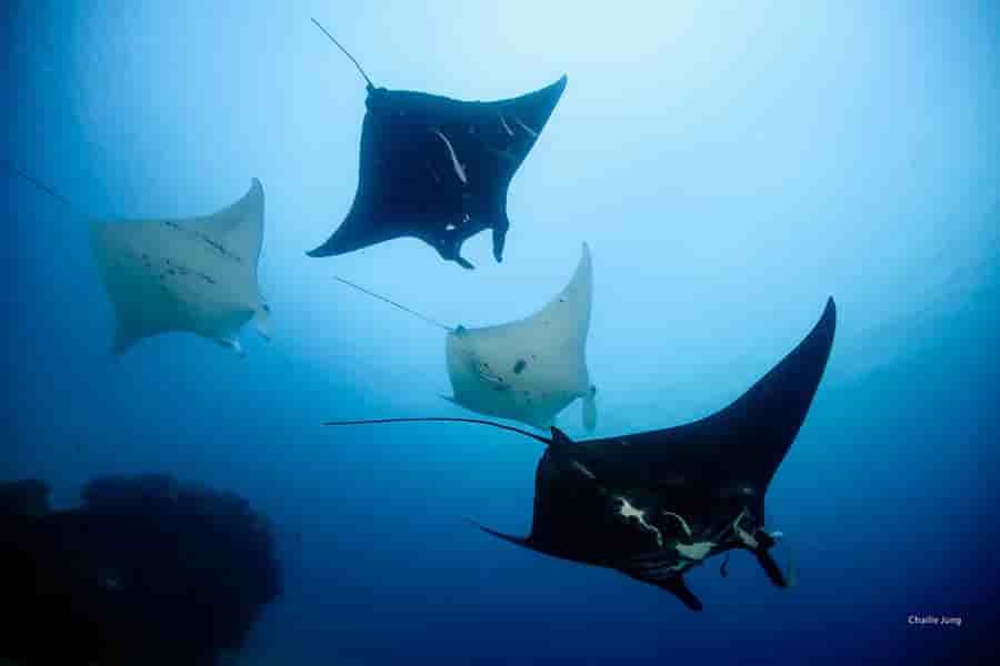 Thumbnail 16 Thumbnail 16