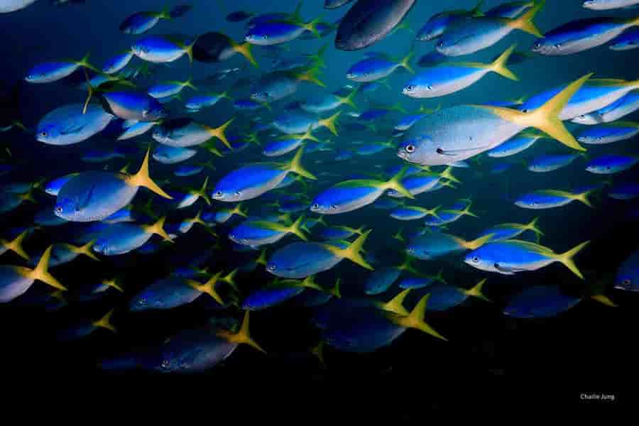 Thumbnail 15 Thumbnail 15