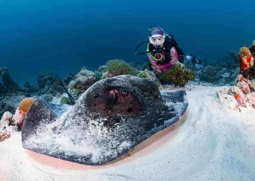 Thumbnail 9 Thumbnail 9