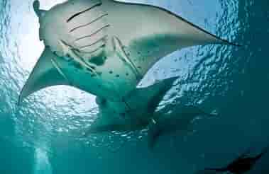 Thumbnail 14 Thumbnail 14