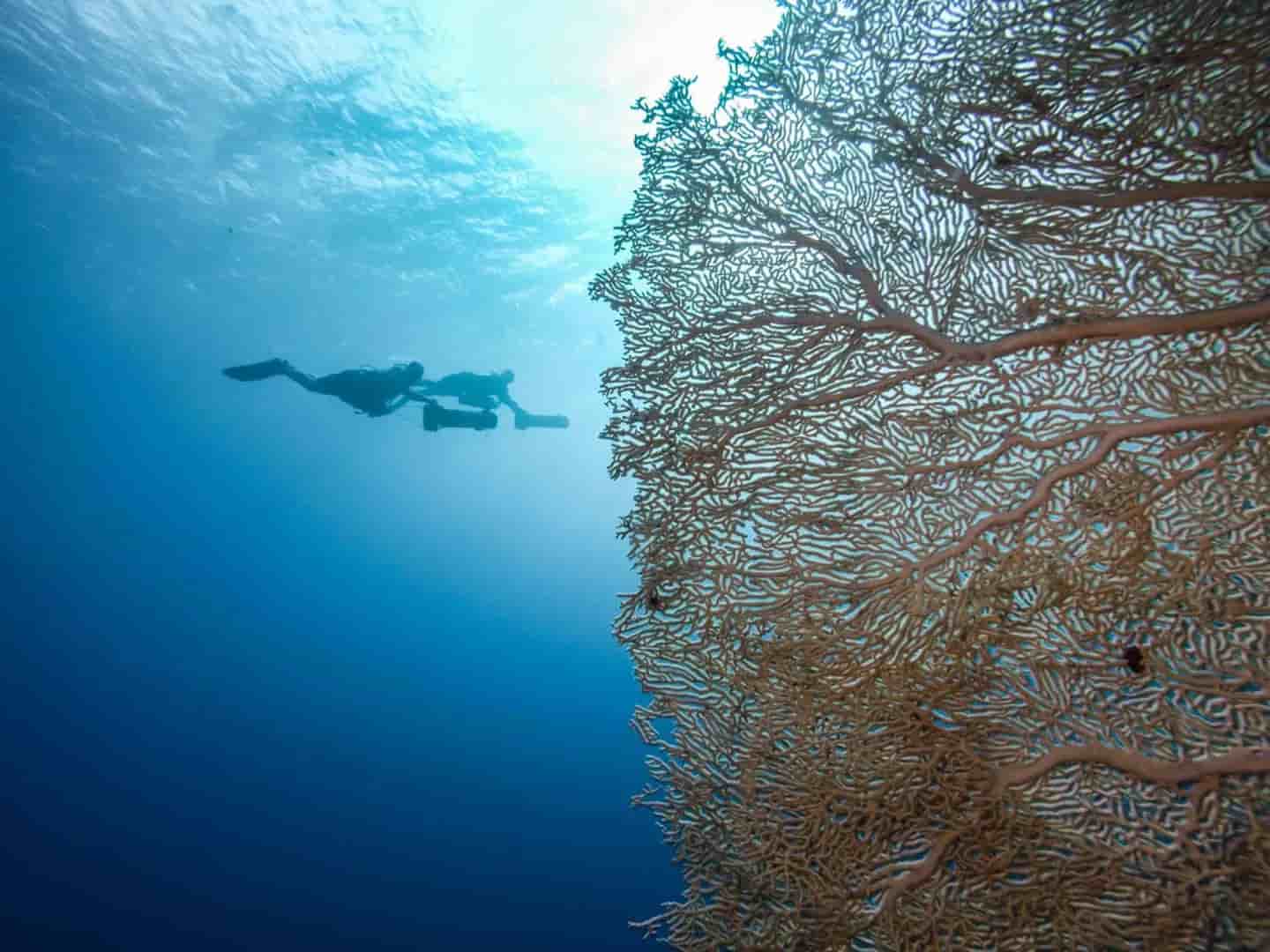 Thumbnail 2 Thumbnail 2