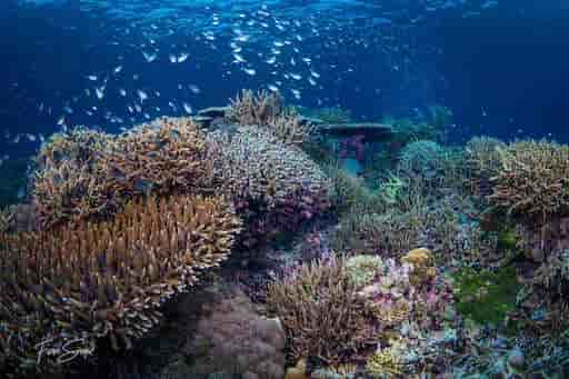 Thumbnail 11 Thumbnail 11