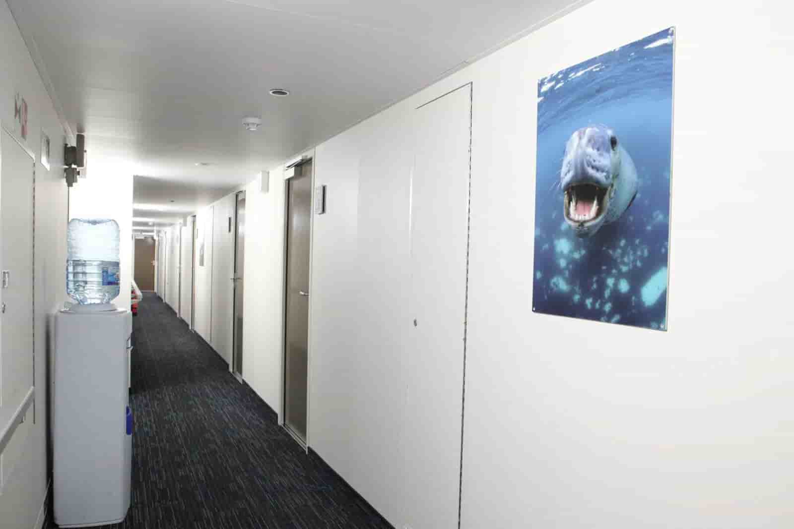 Thumbnail 15 Thumbnail 15