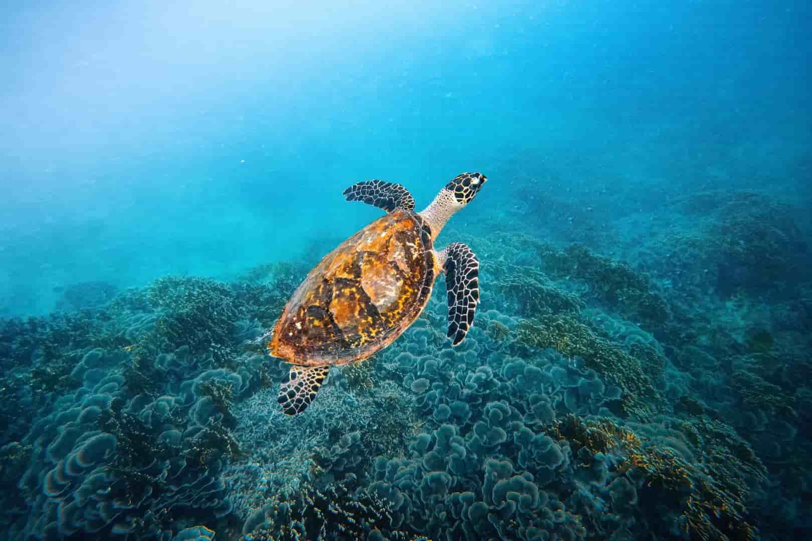 Thumbnail 10 Thumbnail 10