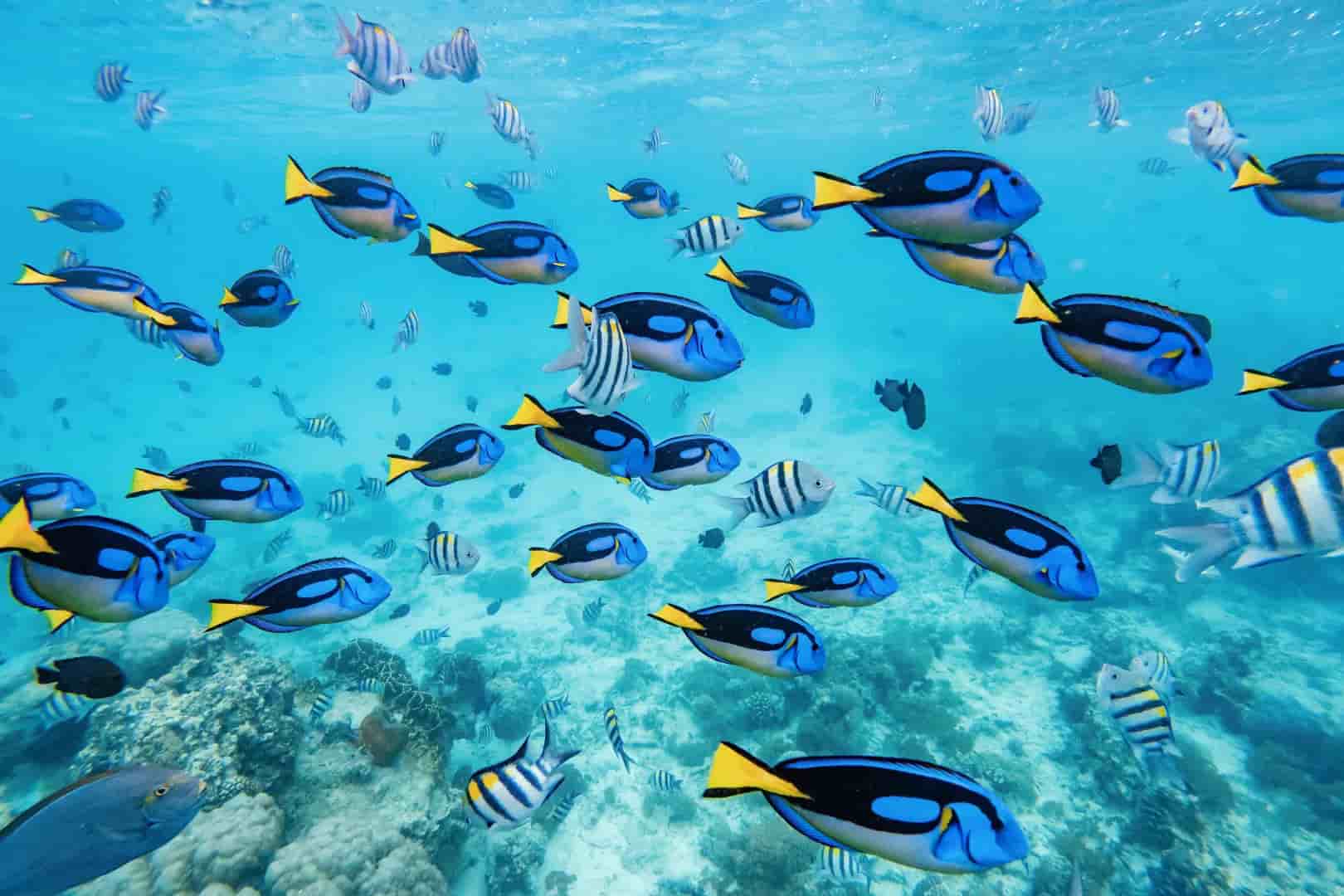 Thumbnail 12 Thumbnail 12