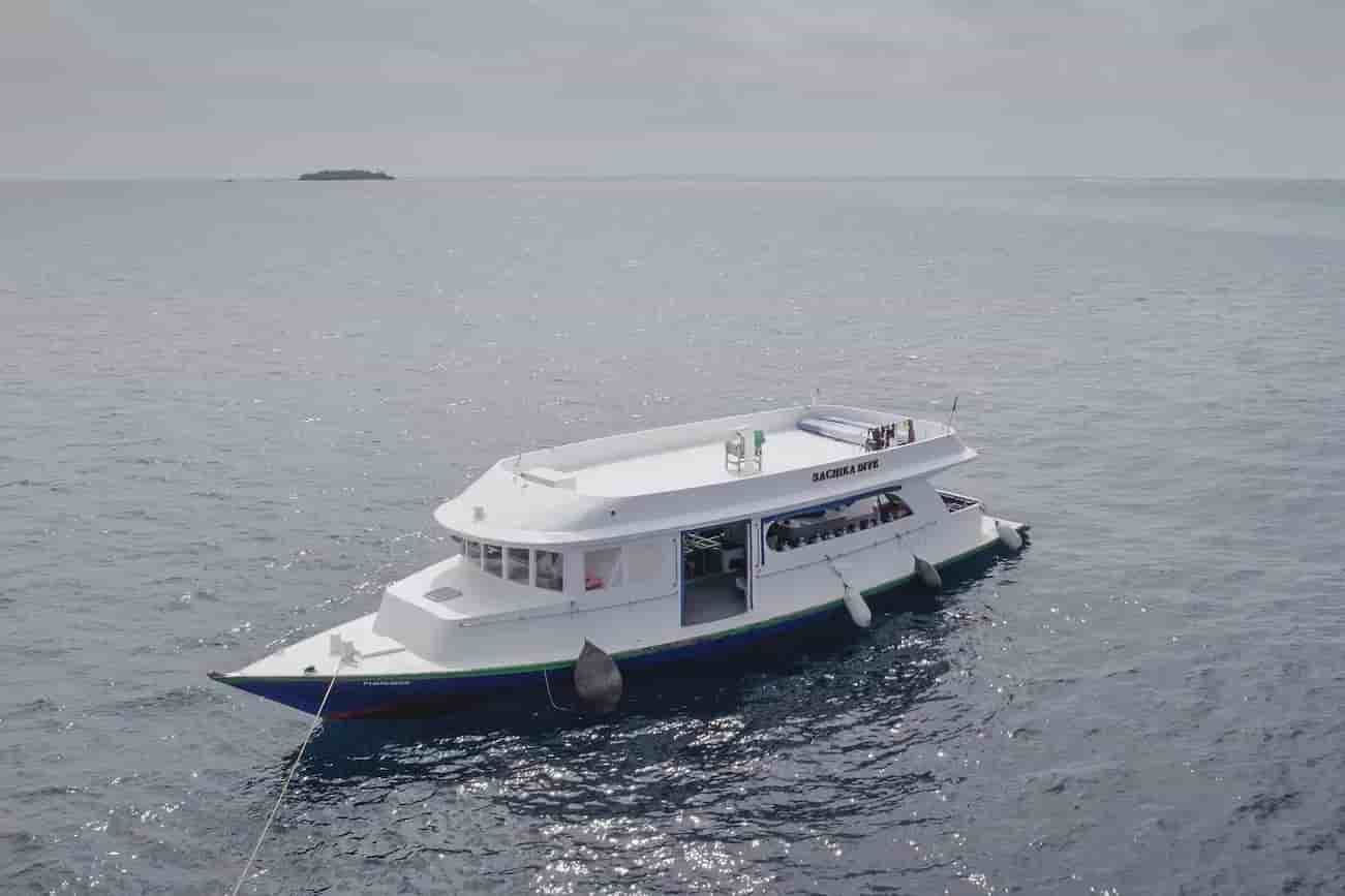 Thumbnail 1 Thumbnail 1