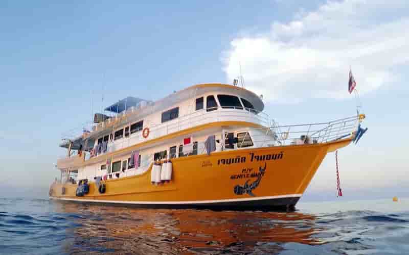 Thumbnail 1 Thumbnail 1