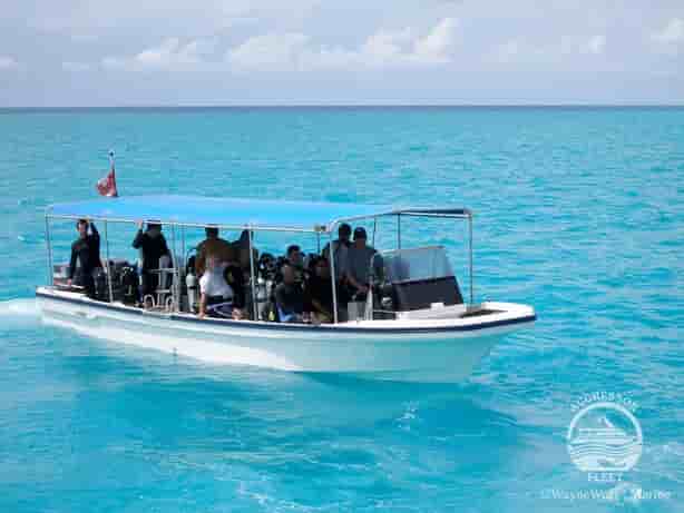 Thumbnail 5 Thumbnail 5