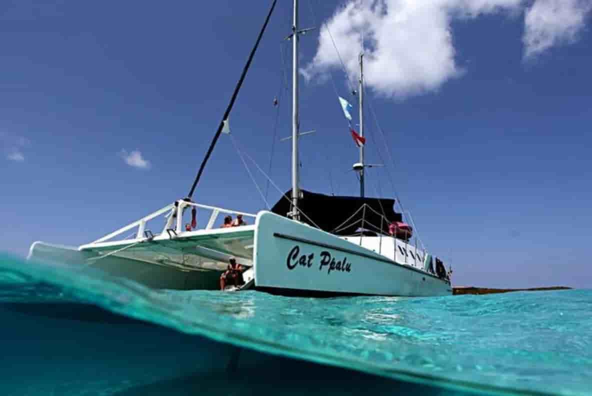 Thumbnail 1 Thumbnail 1