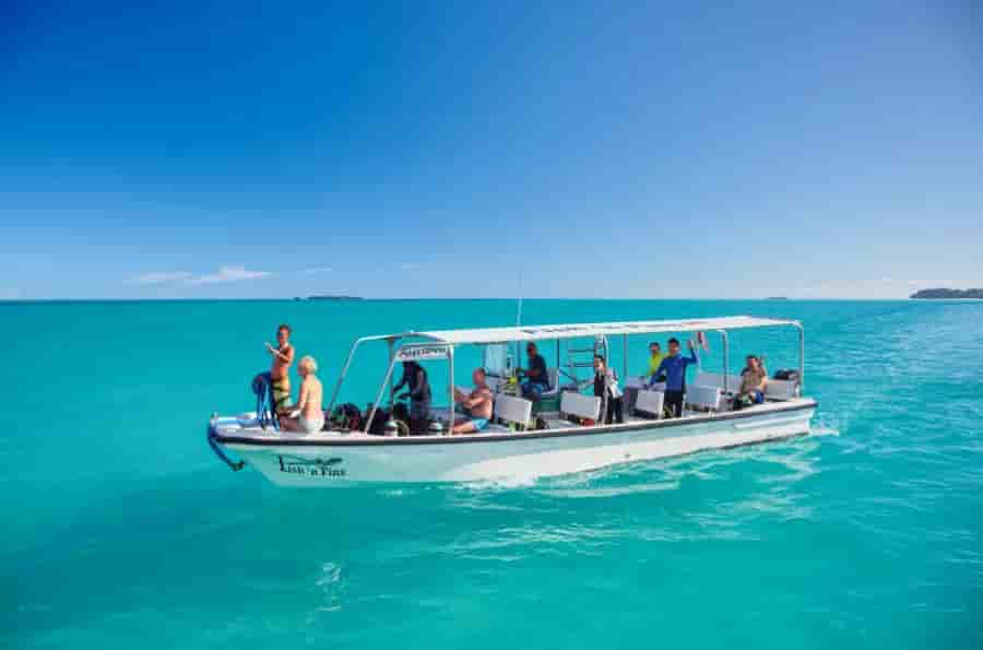 Thumbnail 10 Thumbnail 10