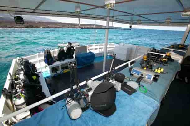 Thumbnail 13 Thumbnail 13