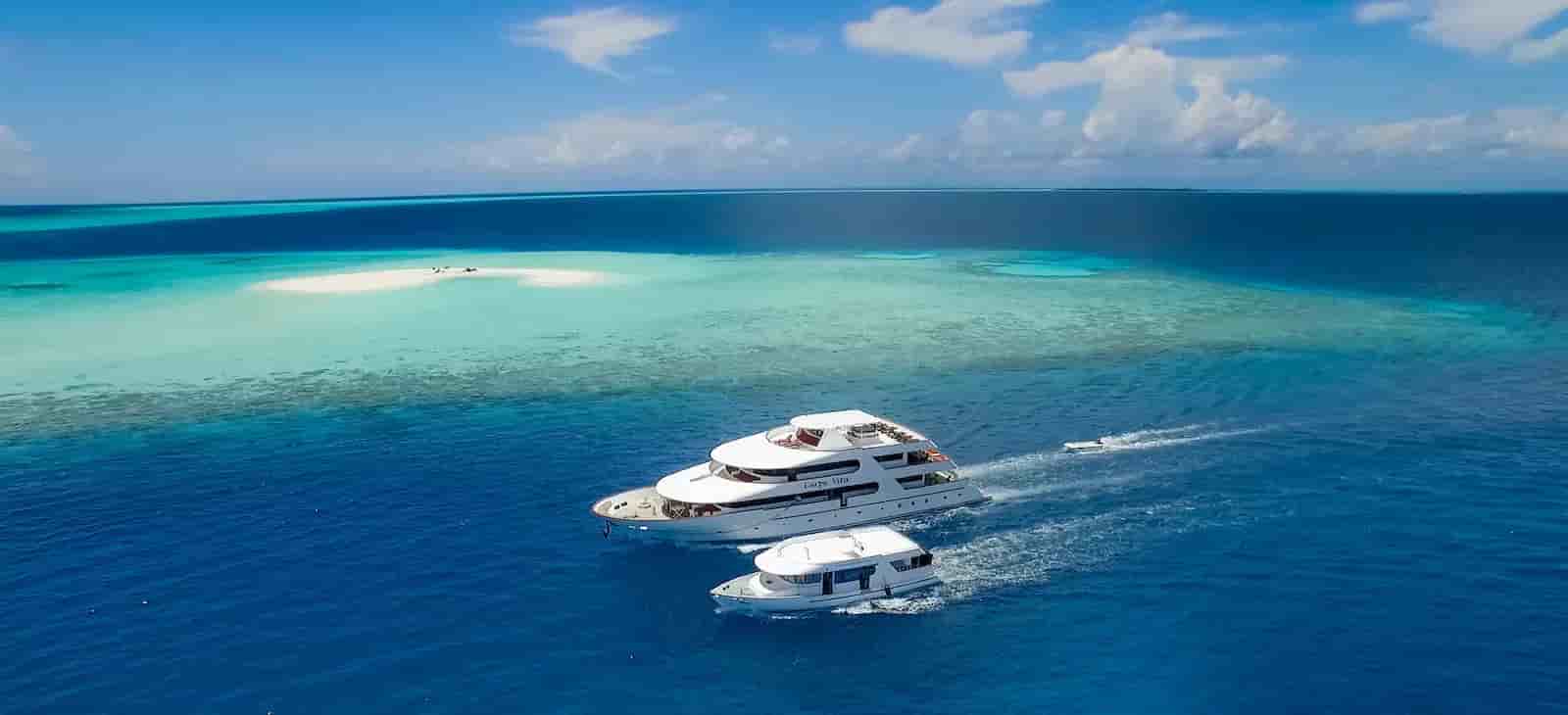 Thumbnail 1 Thumbnail 1