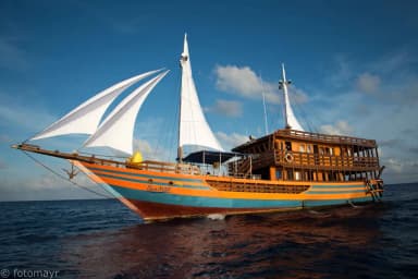 KLM Sunshine KLM Sunshine