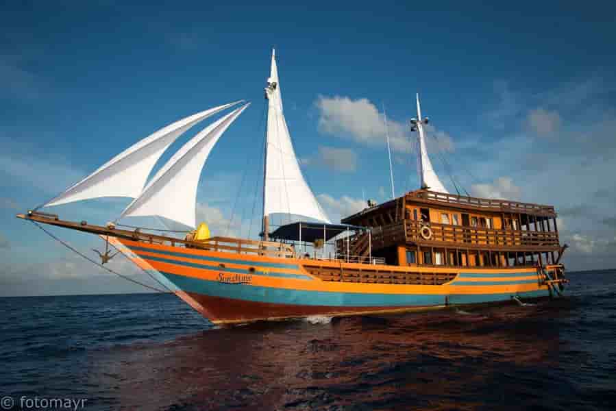 Thumbnail 1 Thumbnail 1