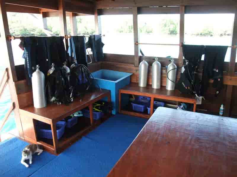 Thumbnail 11 Thumbnail 11