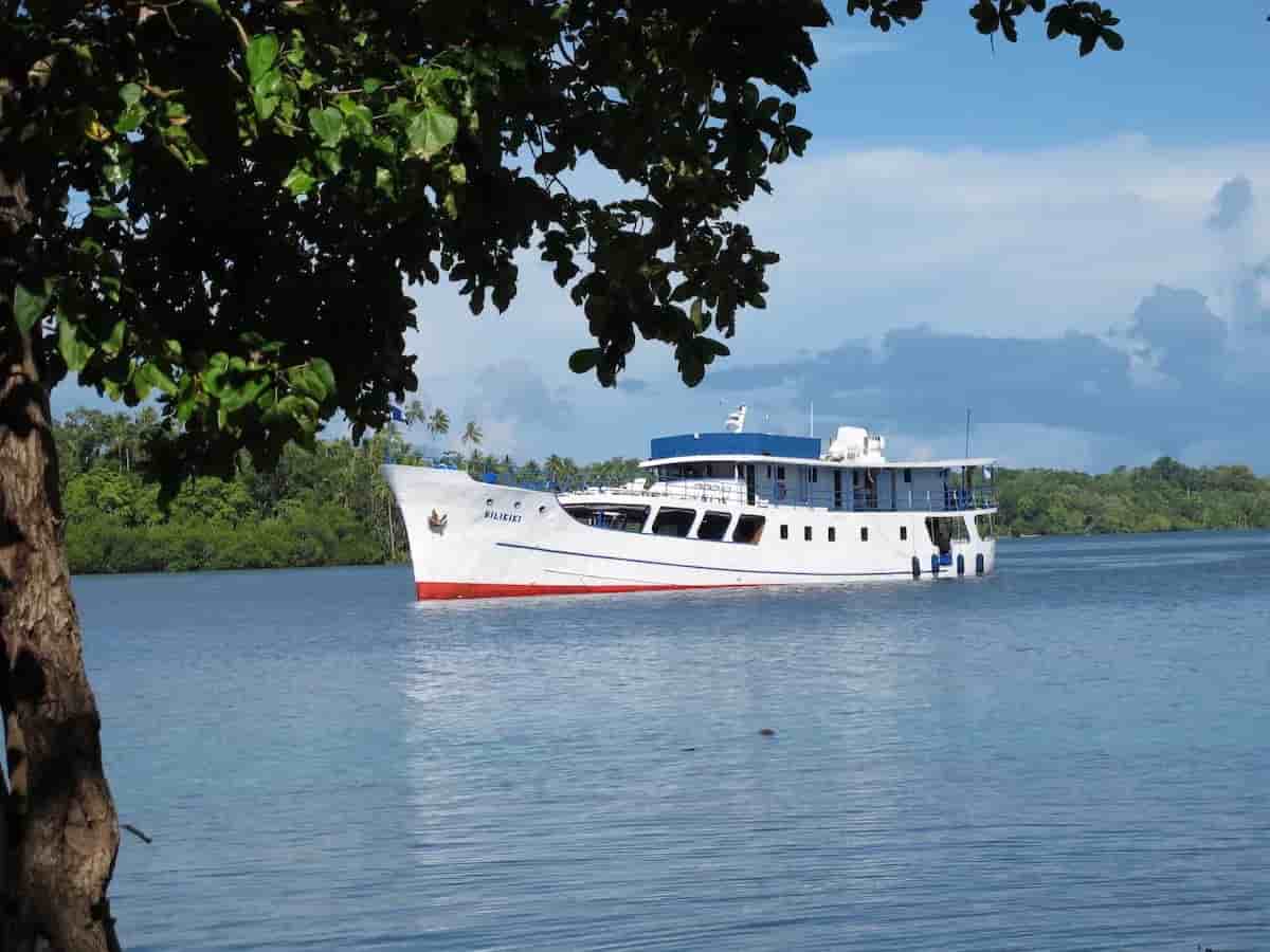 Thumbnail 14 Thumbnail 14