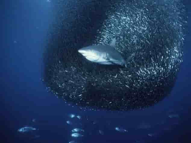 Thumbnail 15 Thumbnail 15