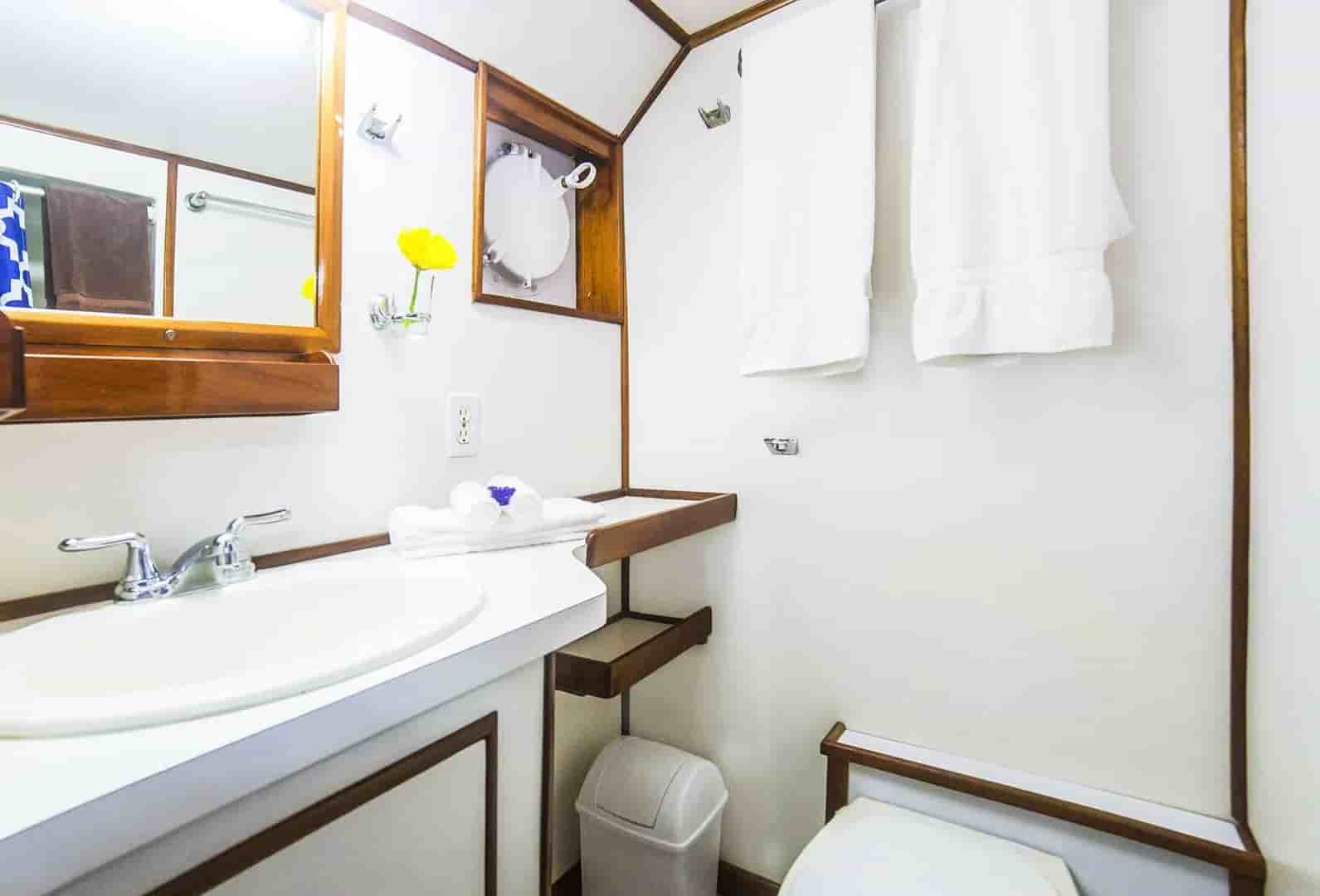 Thumbnail 12 Thumbnail 12