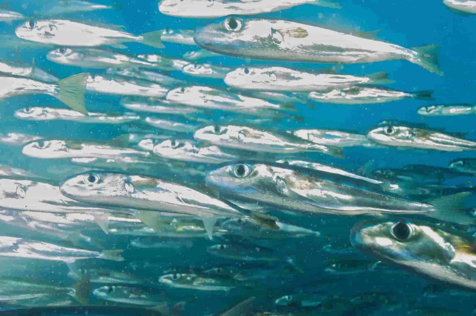 Thumbnail 14 Thumbnail 14