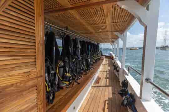 Thumbnail 10 Thumbnail 10