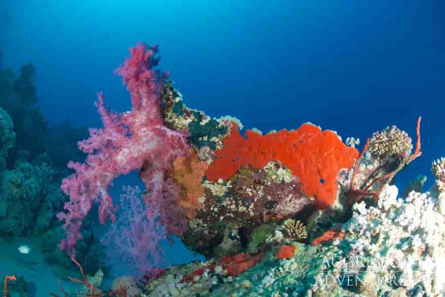 Thumbnail 9 Thumbnail 9