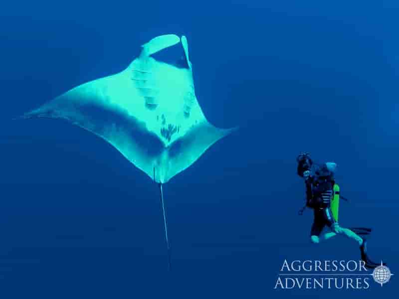 Thumbnail 10 Thumbnail 10