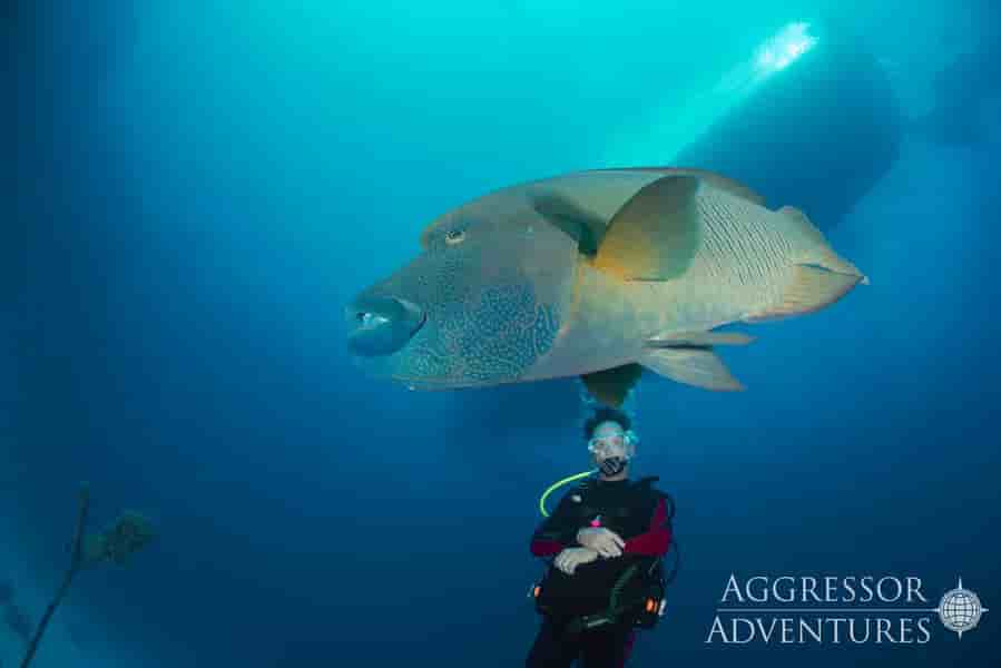 Thumbnail 11 Thumbnail 11