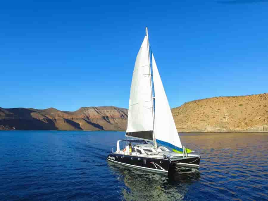 Thumbnail 11 Thumbnail 11