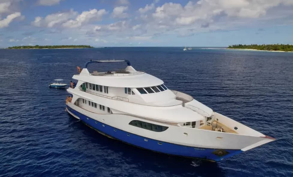 Honors Legacy - image Honors Legacy - image