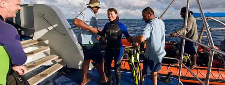 Thumbnail 4 Thumbnail 4