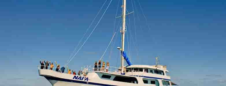 Thumbnail 13 Thumbnail 13